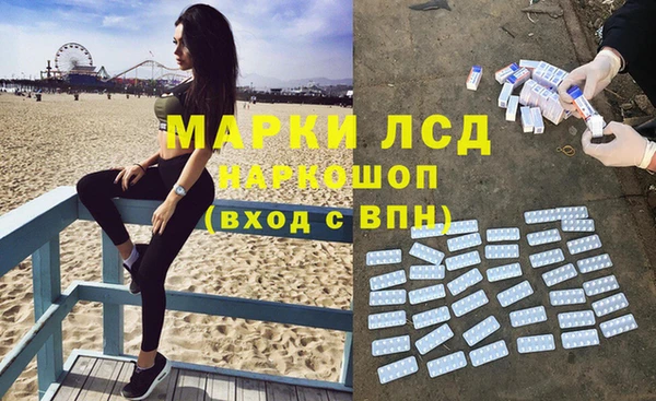 альфа пвп Медвежьегорск